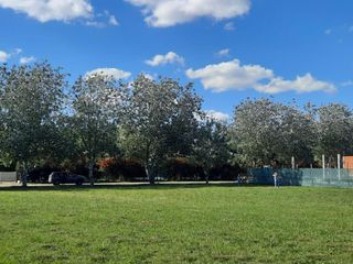 Foto 4 de Terreno en venta - 2.244mts2 - Haras Del Sur I