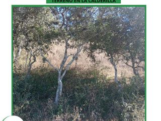 Foto 5 de Terreno en  La Calderilla