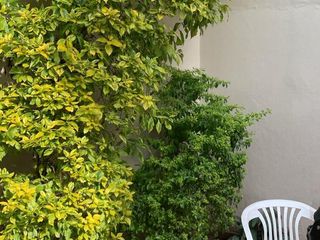 Foto 37 de Casa en   venta en Villa Devoto
