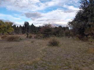 Foto 2 de Chacra - Mallin Ahogado