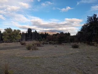 Foto 14 de Chacra - Mallin Ahogado