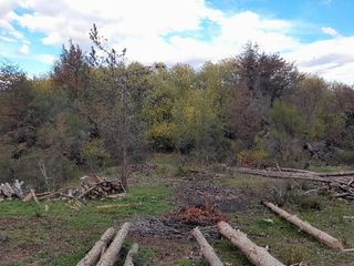 Foto 7 de Chacra - Mallin Ahogado