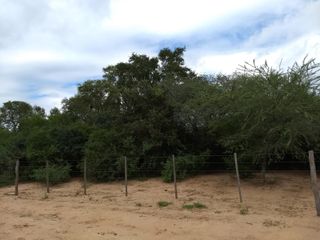 Foto 3 de Campo en Venta en Hickman