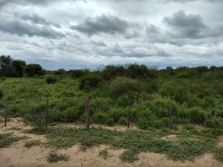 Foto 2 de Campo en Venta en Hickman