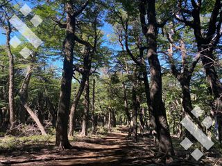 Foto 17 de Campo - Alumine