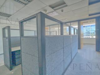 Foto 13 de ALQUILER OFICINA CORPORATIVA PUERTO MADERO GRAN CATEGORÍA 500 m2 - 5 COCH