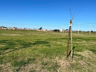 Foto 10 de VENTA - Terreno en Amanecer Arroyo, Entrega Diciembre 2024 - Arroyo Seco