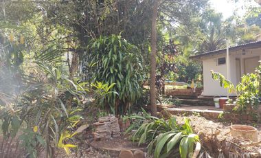 place photo 44