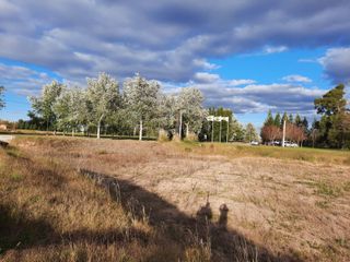 Foto 9 de Terreno en venta - 1.056mts2 - Coronel Brandsen