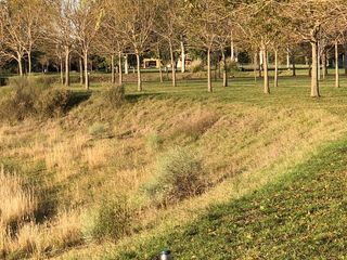 Foto 21 de Terreno en venta - 1.056mts2 - Coronel Brandsen