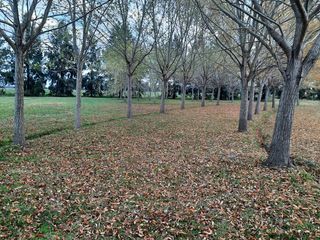 Foto 23 de Terreno en venta - 1.056mts2 - Coronel Brandsen