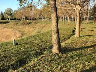 Foto 2 de Terreno en venta - 1.056mts2 - Coronel Brandsen