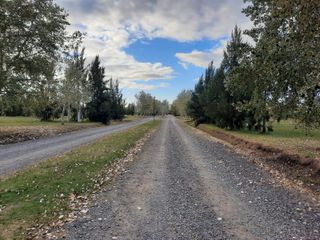 Foto 1 de Terreno en venta - 1.056mts2 - Coronel Brandsen