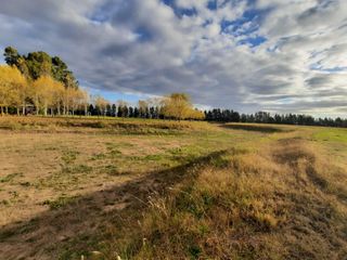 Foto 8 de Terreno en venta - 1.056mts2 - Coronel Brandsen