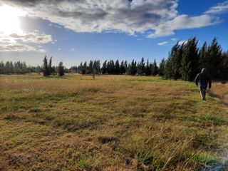 Foto 12 de Terreno en venta - 1.056mts2 - Coronel Brandsen