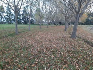 Foto 4 de Terreno en venta - 1.056mts2 - Coronel Brandsen