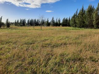 Foto 16 de Terreno en venta - 1.056mts2 - Coronel Brandsen