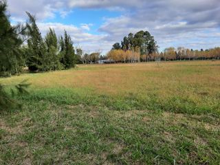 Foto 19 de Terreno en venta - 1.056mts2 - Coronel Brandsen