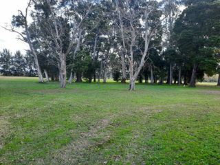 Foto 6 de Terreno en venta - 1.056mts2 - Coronel Brandsen