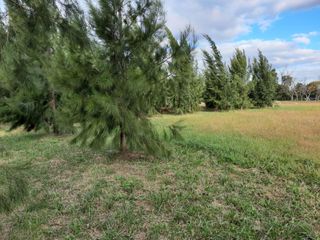 Foto 18 de Terreno en venta - 1.056mts2 - Coronel Brandsen