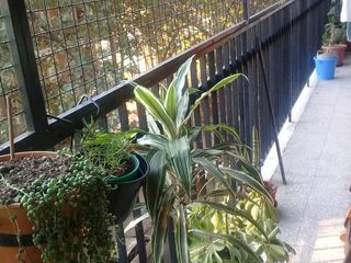 Foto 25 de Departamento en Boedo
