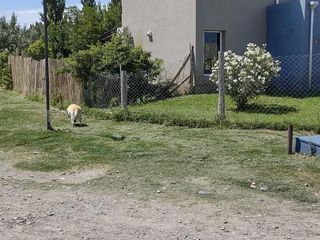 Foto 5 de Venta casa 2 dorm  con pileta - La Castellana - Neuquén