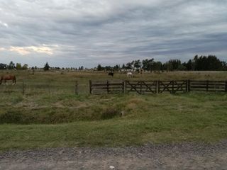 Foto 10 de Terreno en venta - 5.866mts2 - Estancia Las Malvinas, Coronel Brandsen
