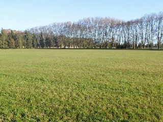 Foto 8 de Terreno en venta - 5.866mts2 - Estancia Las Malvinas, Coronel Brandsen