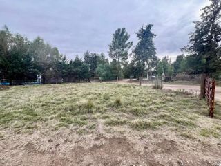Foto 8 de Depósito en venta - 1 Ambiente - 2 Toilettes - Bahía Blanca