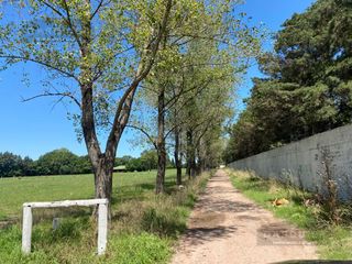 Foto 12 de Terreno - Longchamps