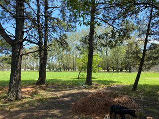 Foto 10 de Terreno - Longchamps