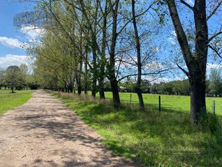 Foto 1 de Terreno - Longchamps