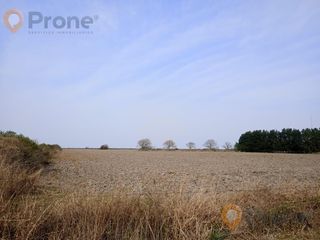 Foto 5 de Campo en San Justo