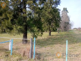 Foto 4 de Campo en San Justo