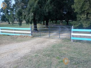 Foto 6 de Campo en San Justo