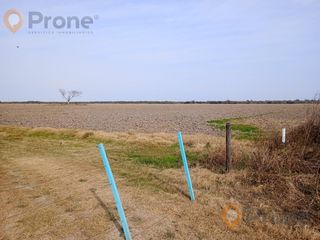 Foto 3 de Campo en San Justo