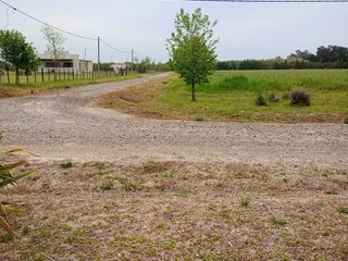 Foto 8 de Terreno en venta - 5.000Mts2 - San Miguel del Monte
