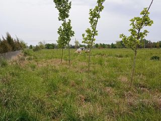 Foto 10 de Terreno en venta - 5.000Mts2 - San Miguel del Monte