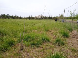 Foto 13 de Terreno en venta - 5.000Mts2 - San Miguel del Monte