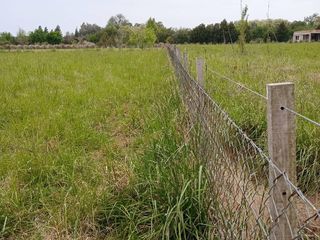 Foto 11 de Terreno en venta - 5.000Mts2 - San Miguel del Monte