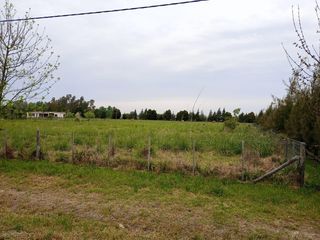 Foto 16 de Terreno en venta - 5.000Mts2 - San Miguel del Monte