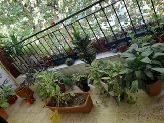 Foto 21 de Venta Amplio Departamento 4 Ambientes con Balcón en Liniers CABA