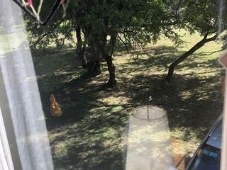Foto 26 de Chacra para 7 personas, en alquiler temporario en Pinamar