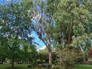 Foto 5 de Terreno en Golf country Chascomús.