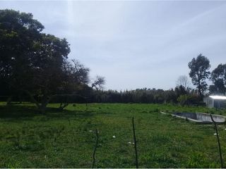 Foto 19 de Terreno en venta - 3416mts2  - Villa Elvira, La Plata