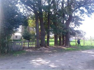 Foto 36 de Terreno en venta - 3416mts2  - Villa Elvira, La Plata