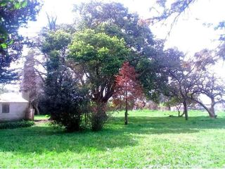 Foto 29 de Terreno en venta - 3416mts2  - Villa Elvira, La Plata