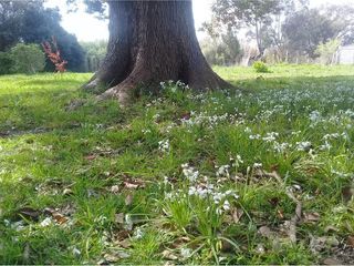 Foto 7 de Terreno en venta - 3416mts2  - Villa Elvira, La Plata