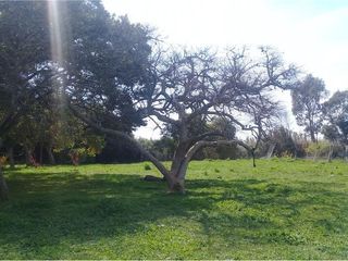 Foto 31 de Terreno en venta - 3416mts2  - Villa Elvira, La Plata