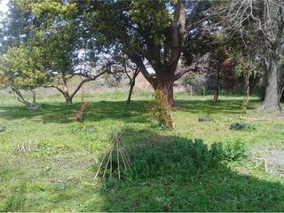 Foto 23 de Terreno en venta - 3416mts2  - Villa Elvira, La Plata